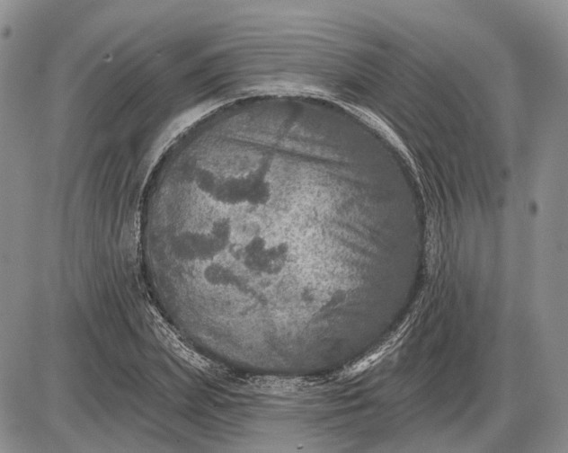 X0000085260831200703231713