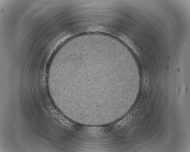 X0000085260832200703231713