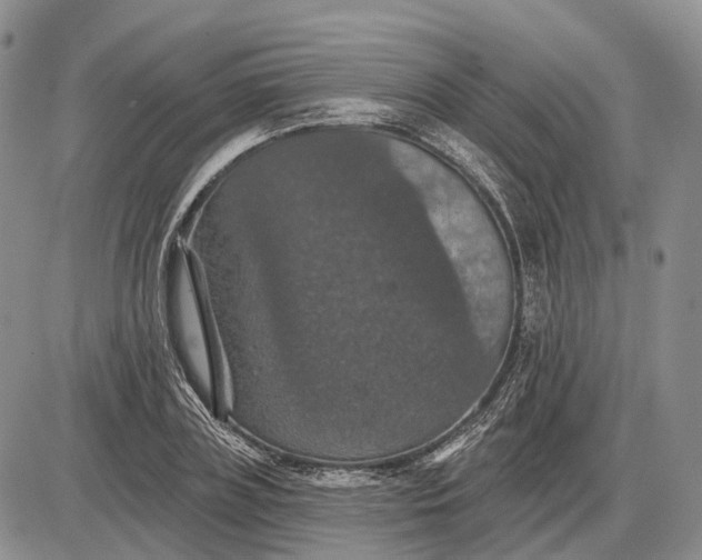 X0000085260835200703231713