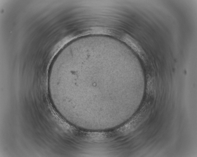 X0000085260836200703231713