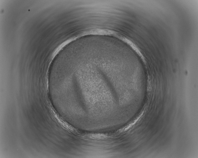 X0000085260837200703231713