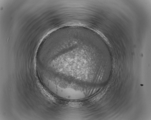 X0000085260840200703231713