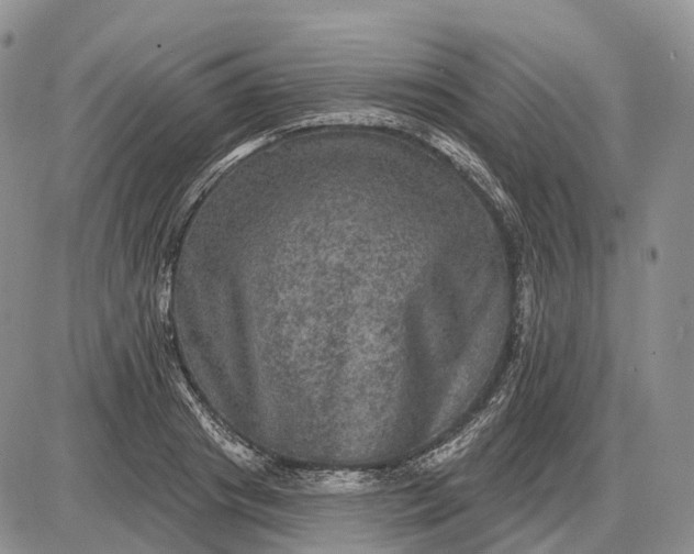 X0000085260841200703231713