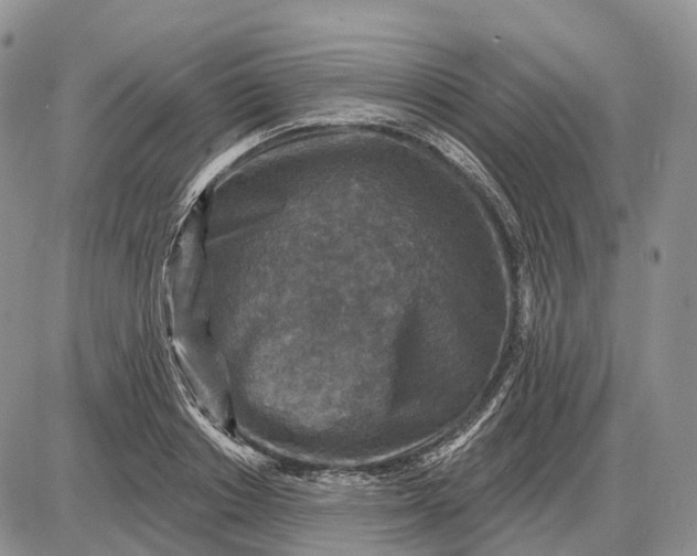 X0000085260842200703231713