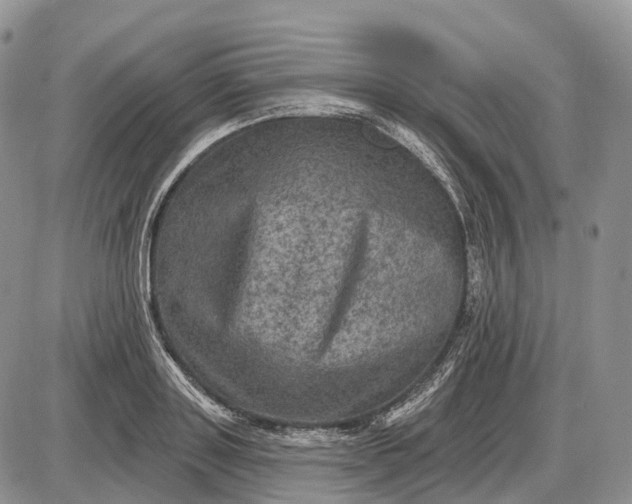 X0000085260843200703231713