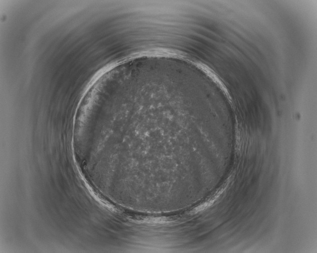 X0000085260845200703231713