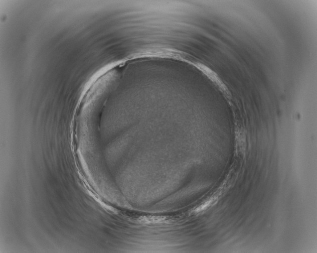 X0000085260846200703231713