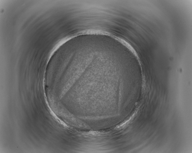 X0000085260847200703231713