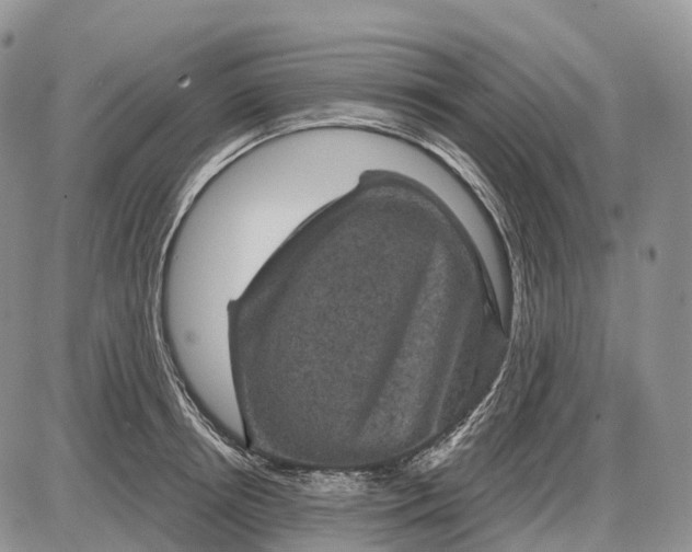 X0000085260850200703231713