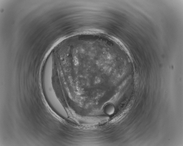 X0000085260851200703231713