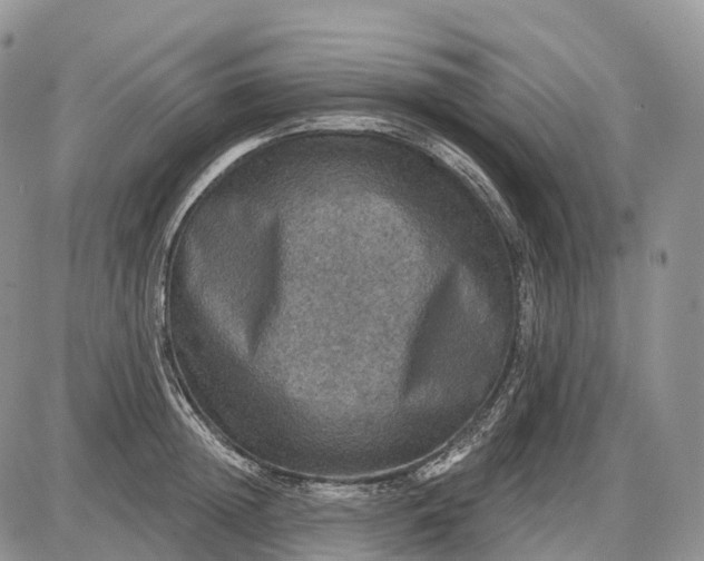 X0000085260852200703231713