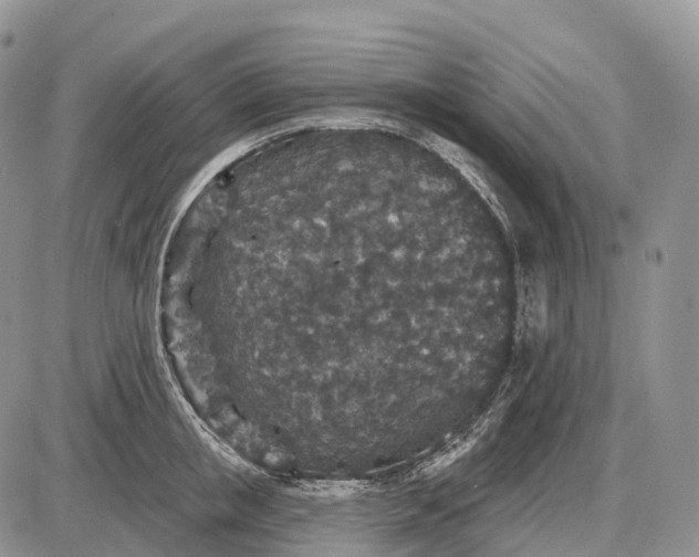 X0000085260853200703231713