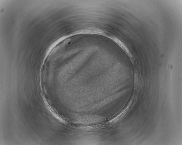 X0000085260854200703231713