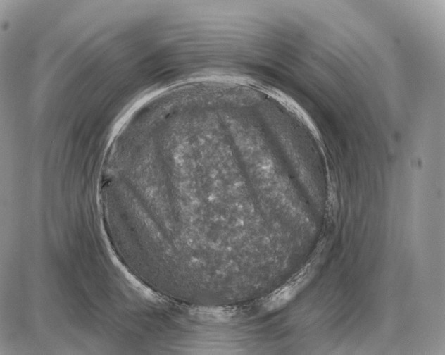 X0000085260855200703231713