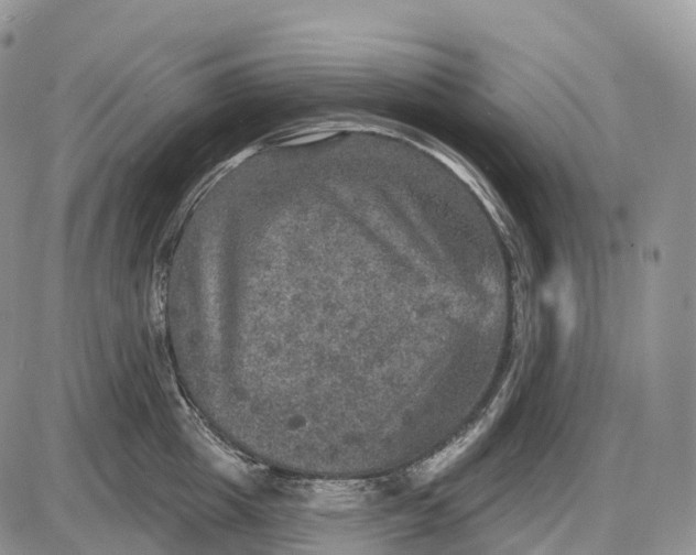 X0000085260857200703231713