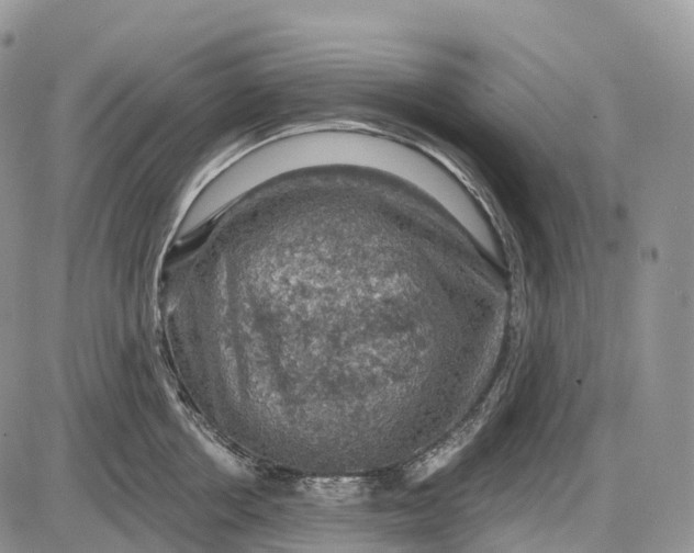 X0000085260858200703231713