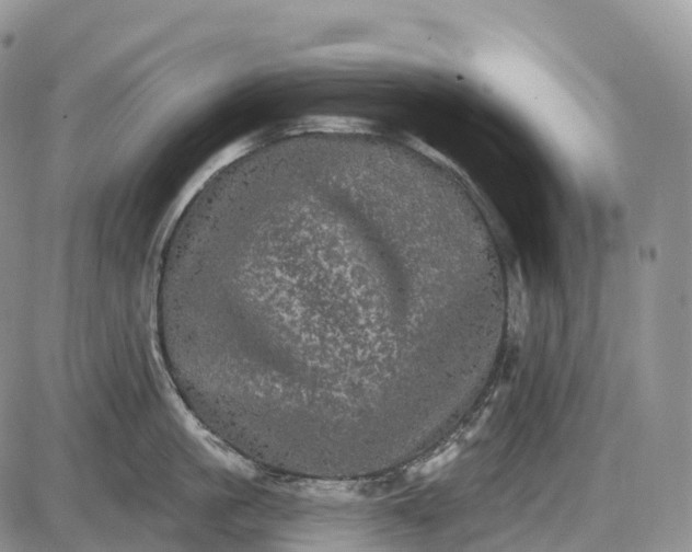 X0000085260861200703231713