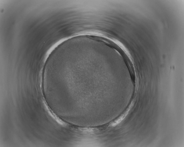 X0000085260862200703231713