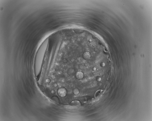 X0000085260863200703231713