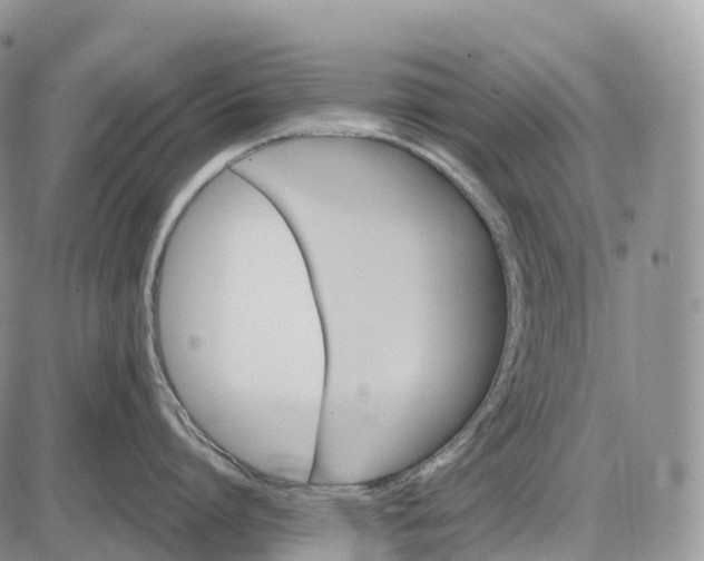 X0000085260864200703231713