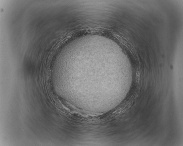 X0000085260865200703231713