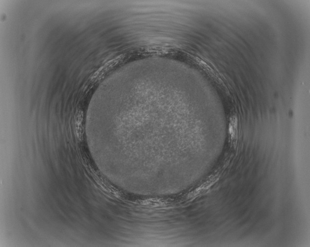 X0000085260867200703231713