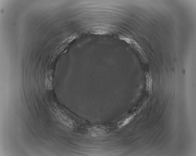 X0000085260868200703231713