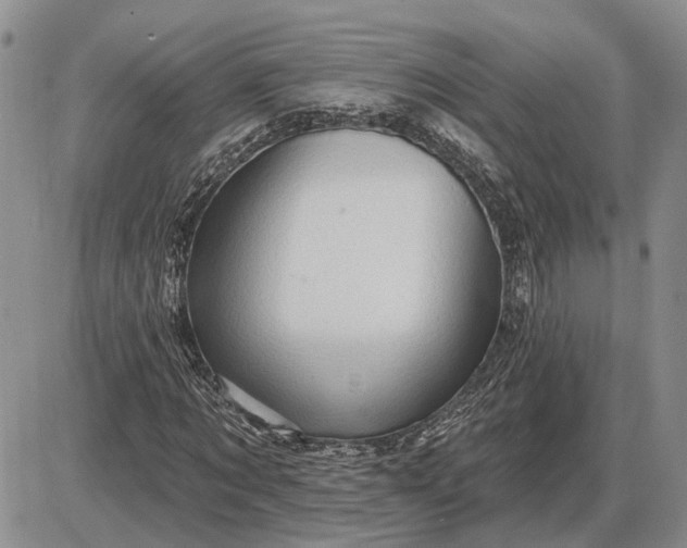 X0000085260869200703231713