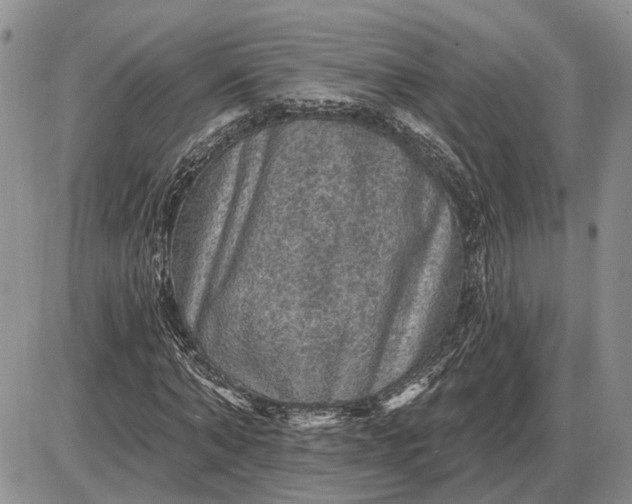 X0000085260870200703231713