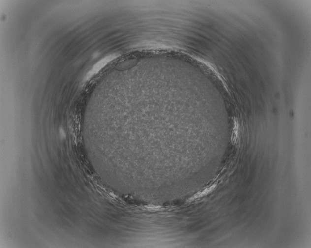 X0000085260871200703231713