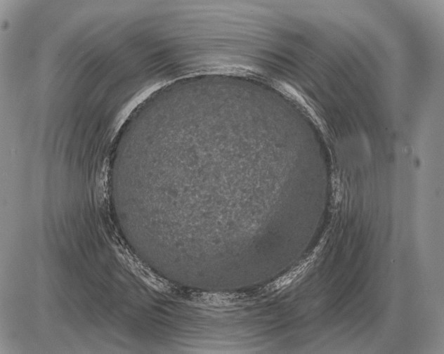 X0000085260875200703231713