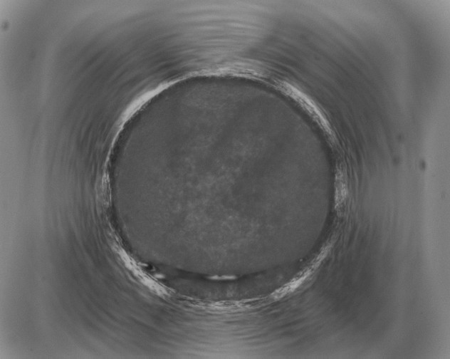 X0000085260876200703231713