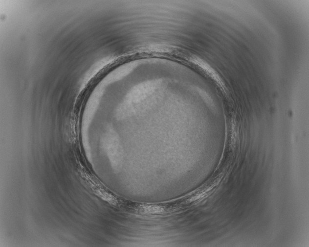 X0000085260878200703231712