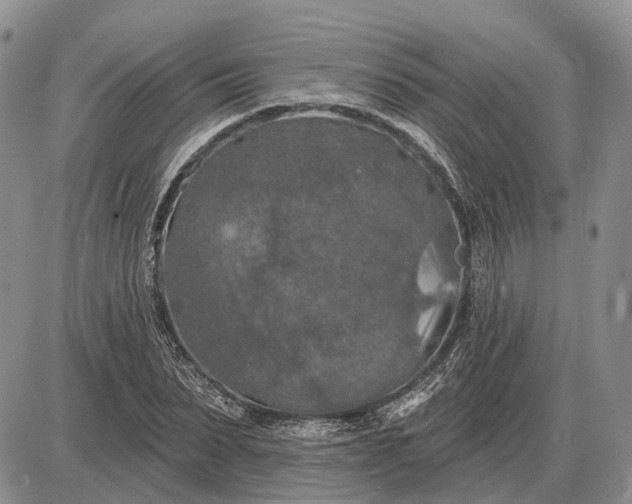 X0000085260879200703231712