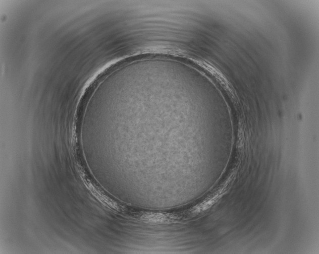 X0000085260880200703231712