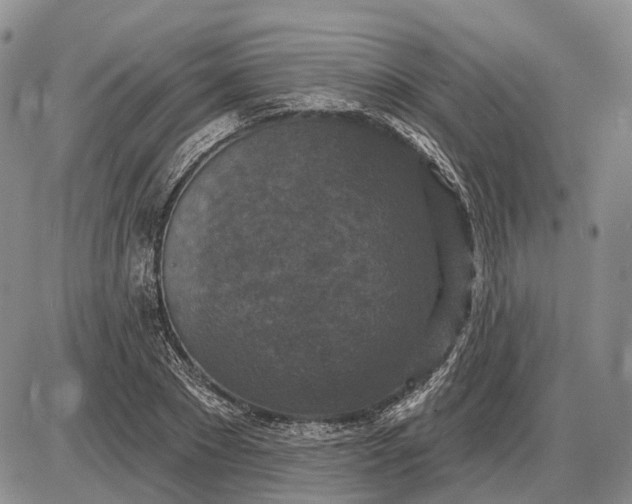 X0000085260881200703231712