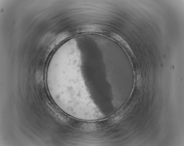 X0000085260882200703231712