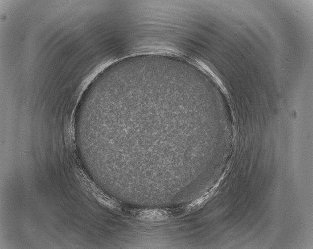 X0000085260883200703231712