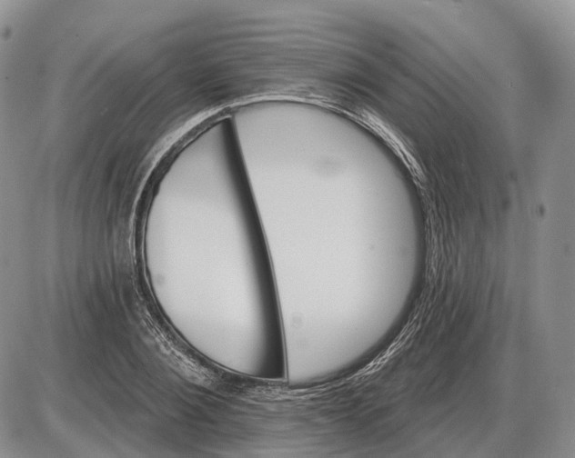 X0000085260884200703231712