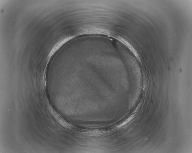 X0000085260885200703231712