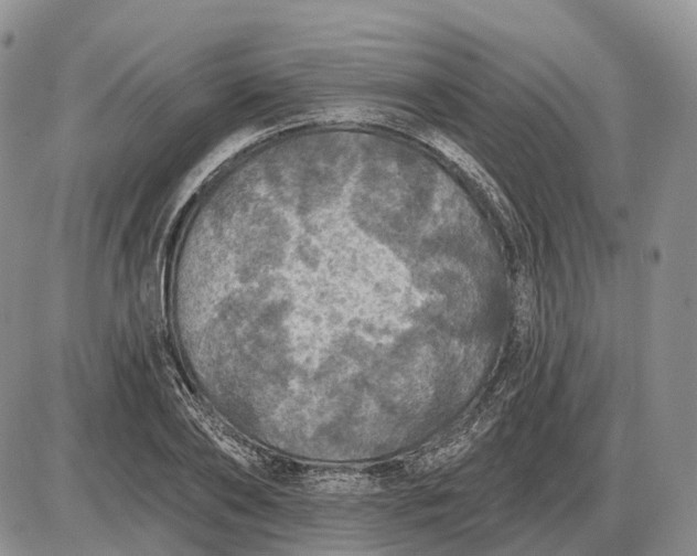 X0000085260886200703231712