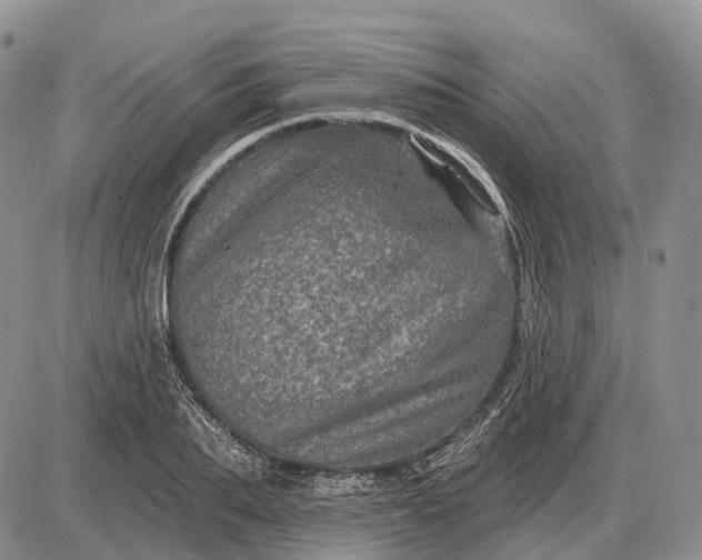 X0000085260887200703231712