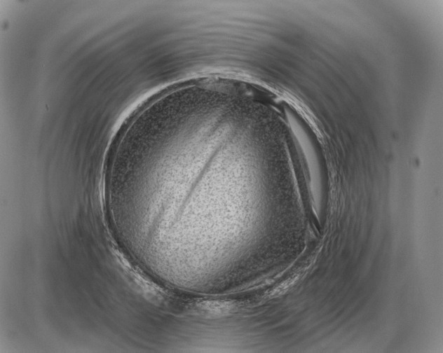 X0000085260888200703231712