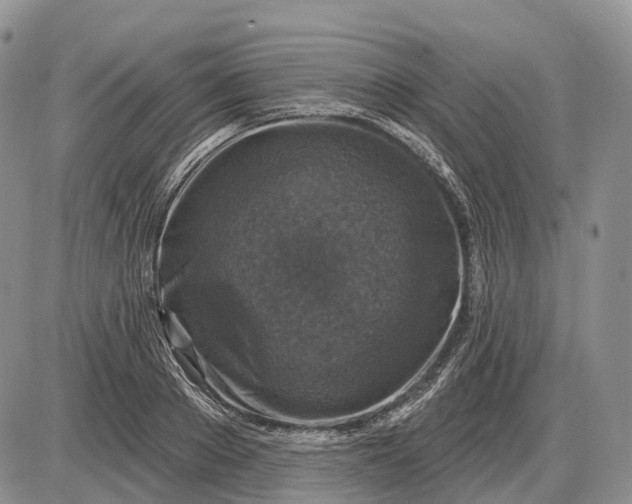 X0000085260889200703231712