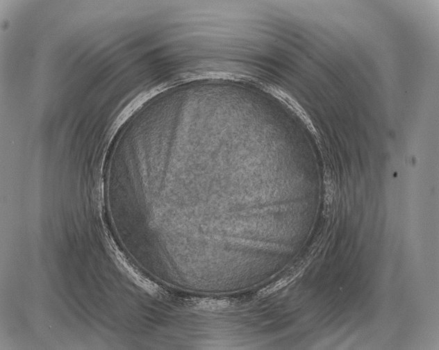 X0000085260890200703231712