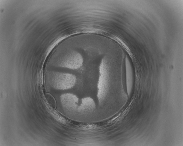 X0000085260891200703231712