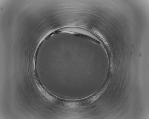 X0000085260892200703231712