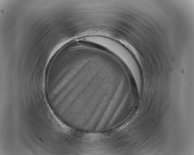 X0000085260894200703231712