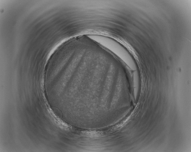 X0000085260896200703231712