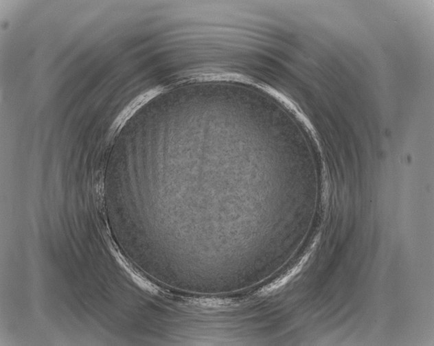 X0000085260897200703231712